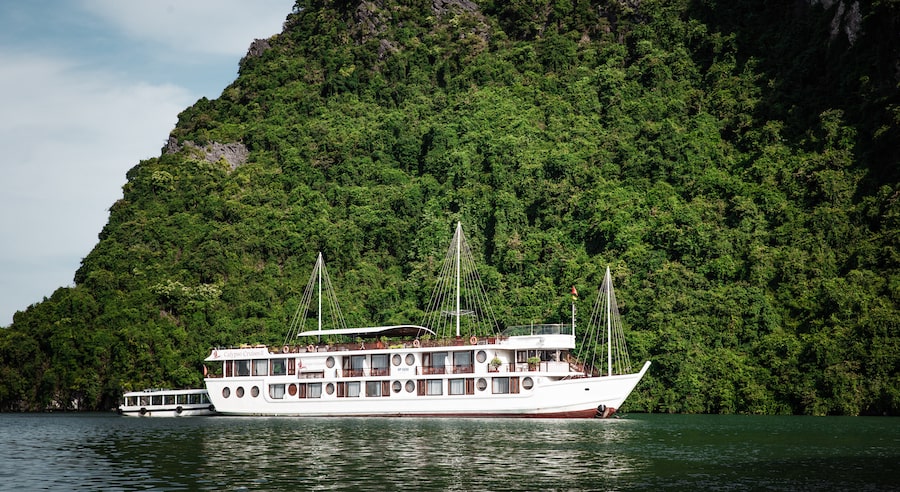 Calypso Cruise