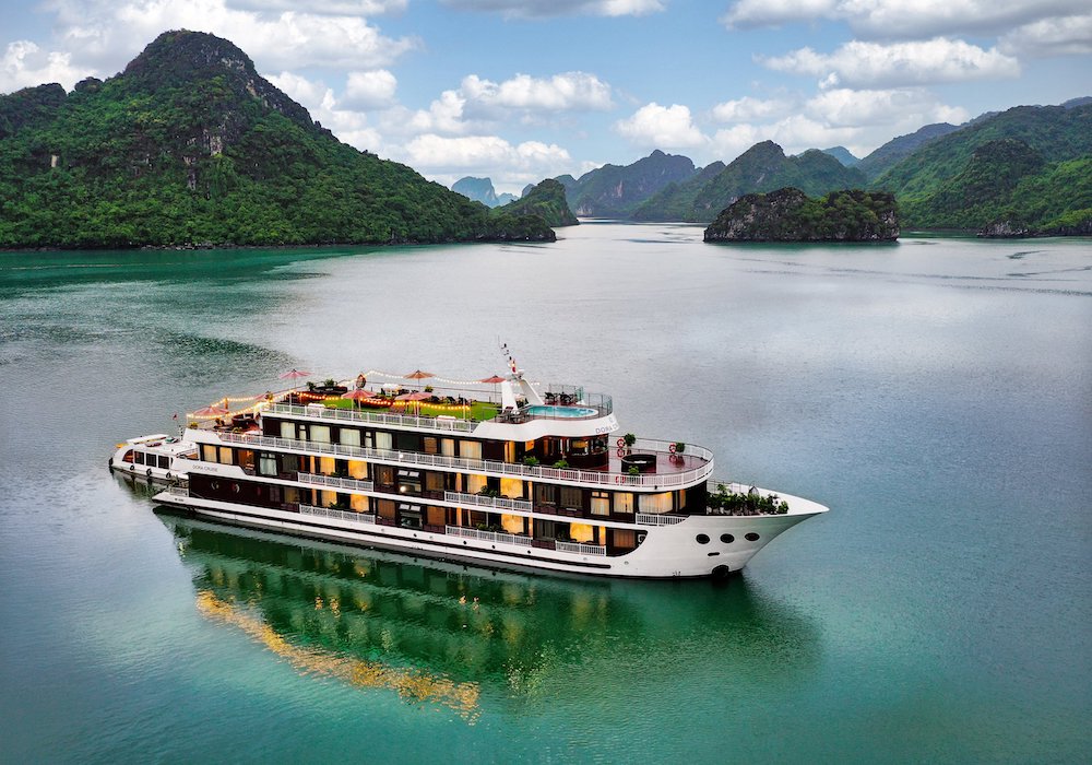 Dora Cruise