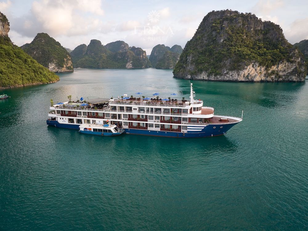 Erina Cruise
